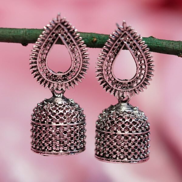 silver earrings